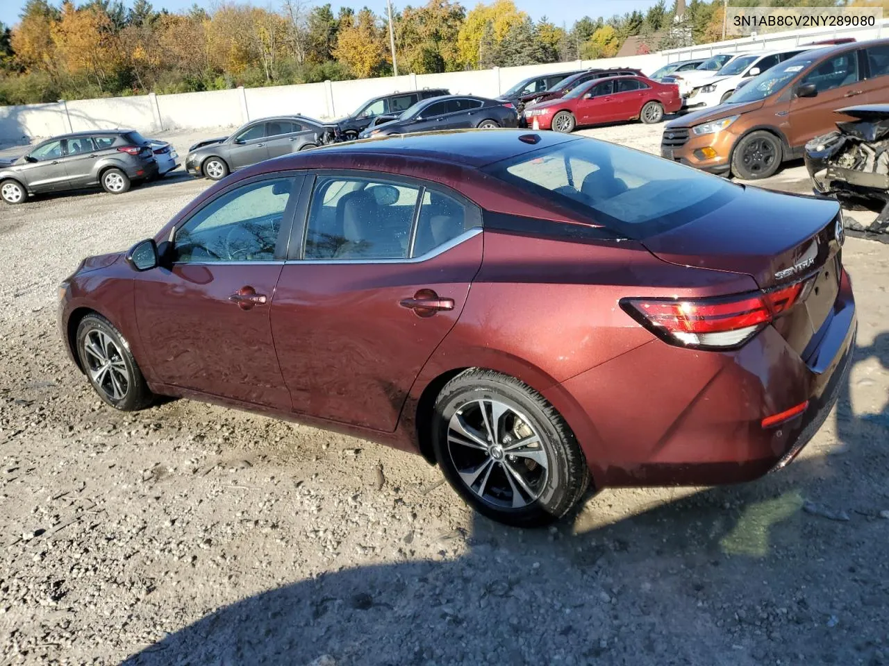 2022 Nissan Sentra Sv VIN: 3N1AB8CV2NY289080 Lot: 76977464