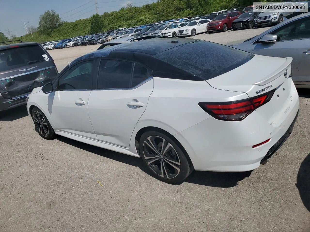 2023 Nissan Sentra Sr VIN: 3N1AB8DV0PY300093 Lot: 51270254