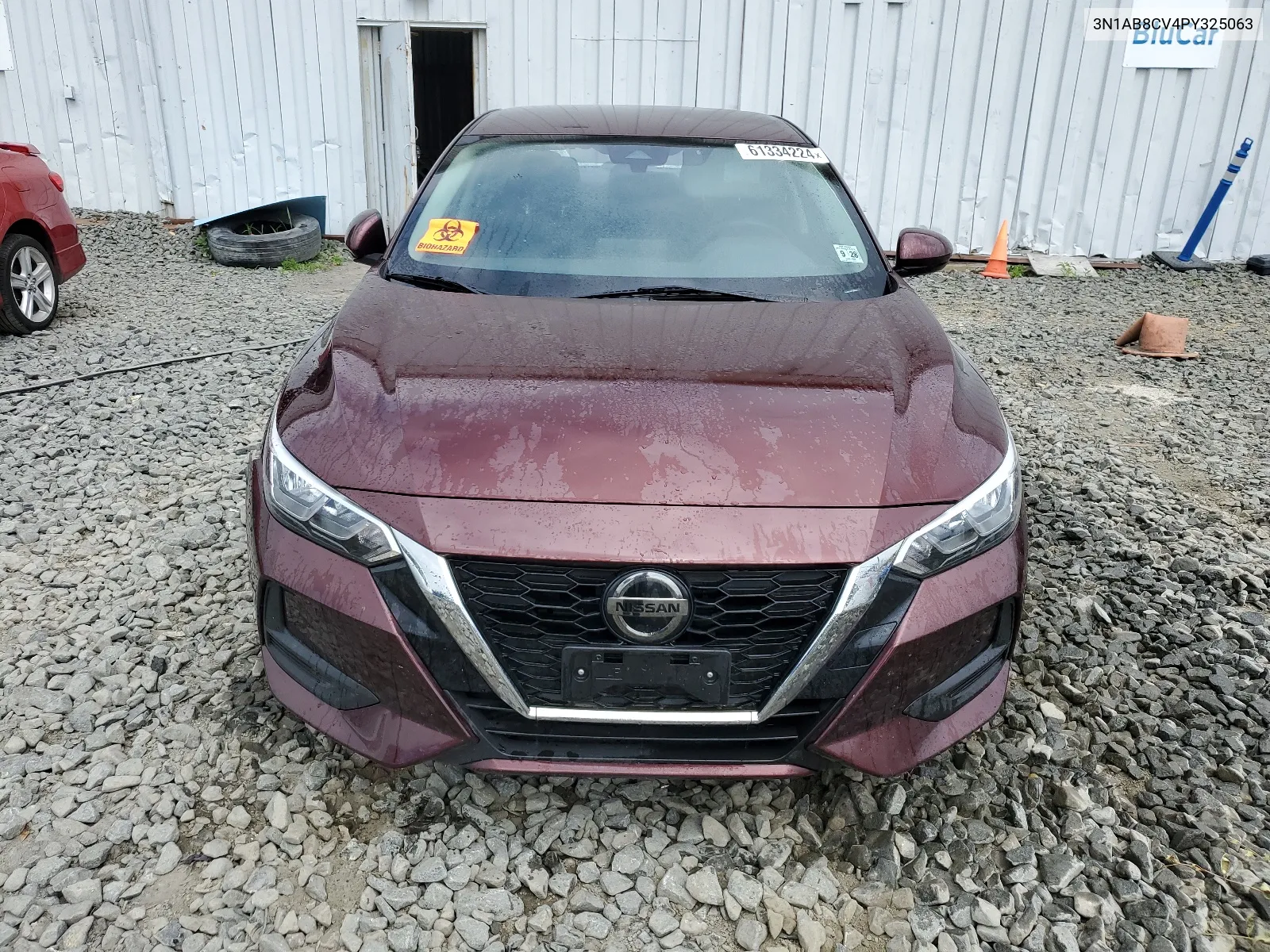 2023 Nissan Sentra Sv VIN: 3N1AB8CV4PY325063 Lot: 61334224