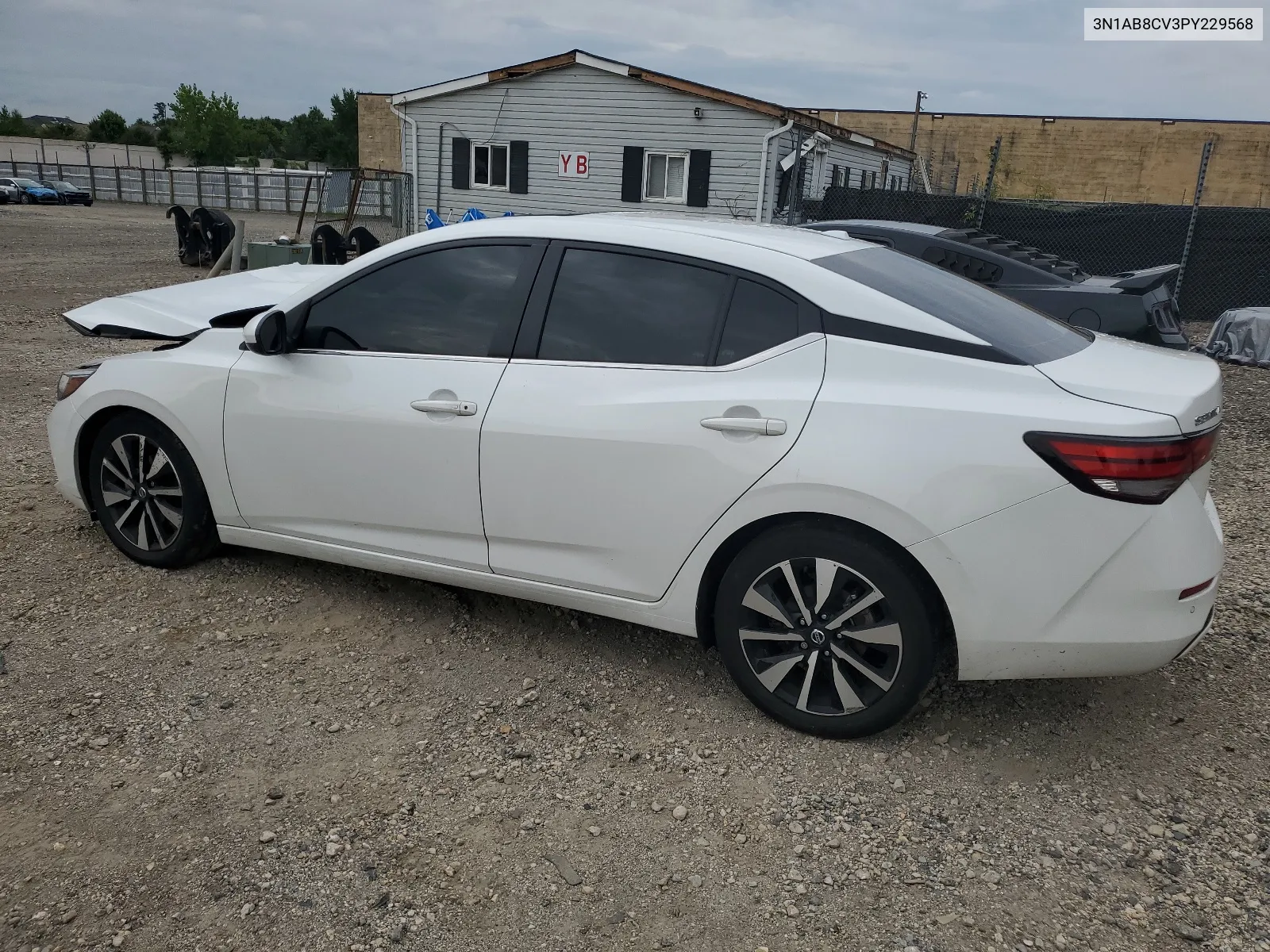 2023 Nissan Sentra Sv VIN: 3N1AB8CV3PY229568 Lot: 63693564