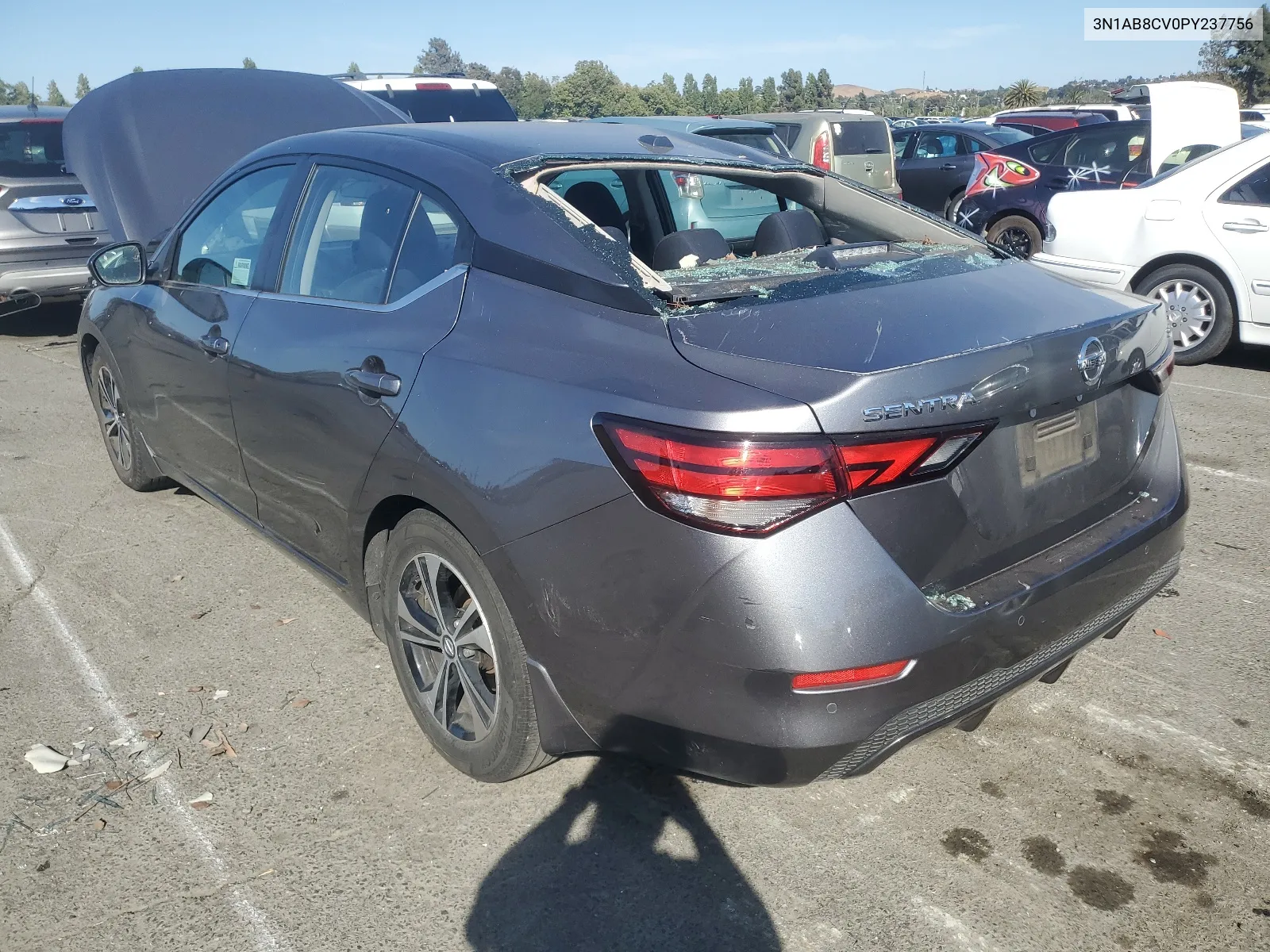 2023 Nissan Sentra Sv VIN: 3N1AB8CV0PY237756 Lot: 65794914