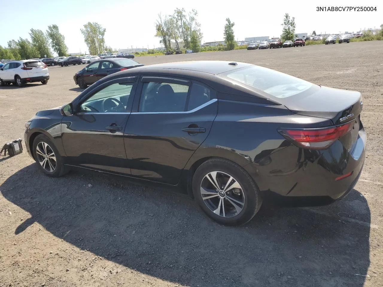 2023 Nissan Sentra Sv VIN: 3N1AB8CV7PY250004 Lot: 69370914