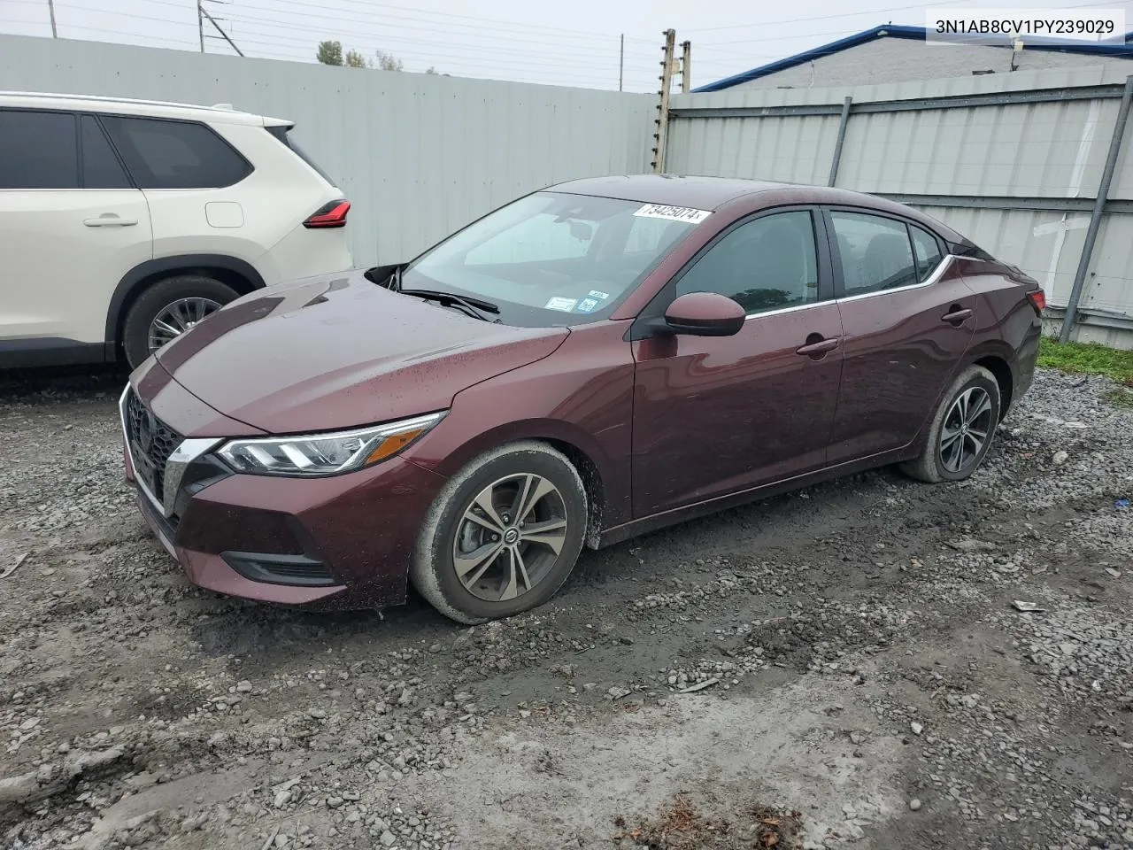 3N1AB8CV1PY239029 2023 Nissan Sentra Sv