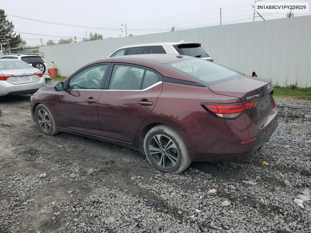 2023 Nissan Sentra Sv VIN: 3N1AB8CV1PY239029 Lot: 73425074