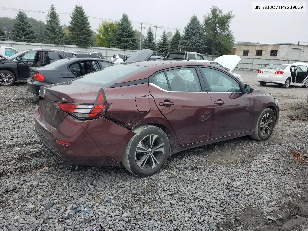 3N1AB8CV1PY239029 2023 Nissan Sentra Sv