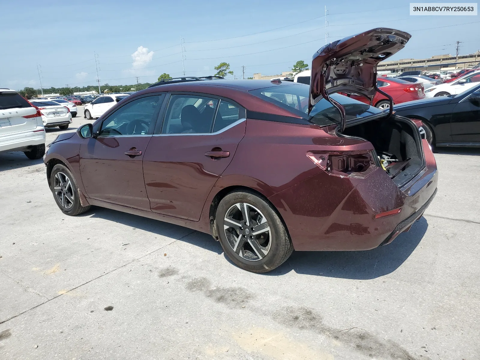 2024 Nissan Sentra Sv VIN: 3N1AB8CV7RY250653 Lot: 65802464