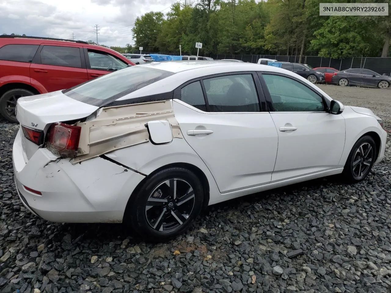 2024 Nissan Sentra Sv VIN: 3N1AB8CV9RY239265 Lot: 73274464