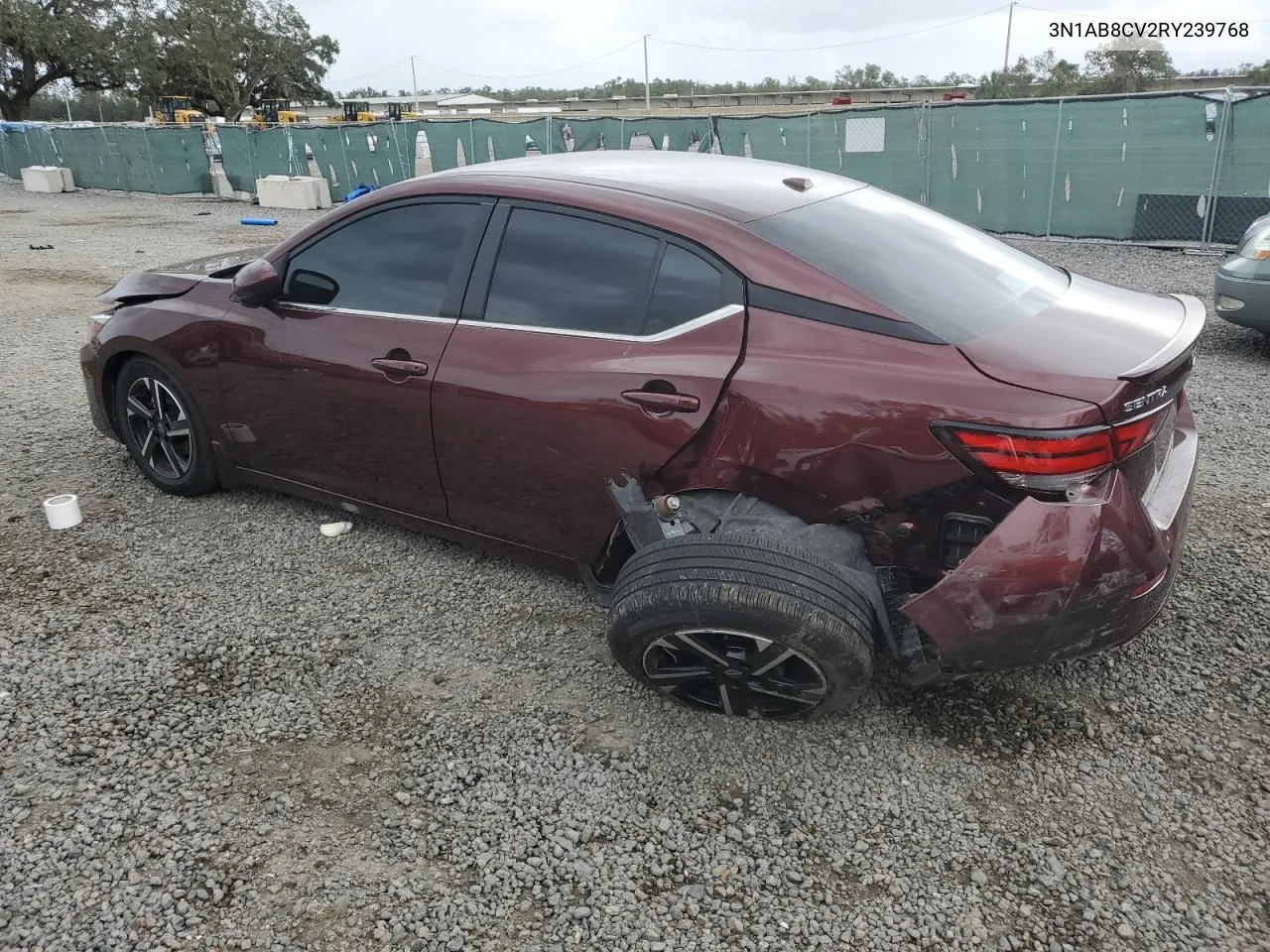 2024 Nissan Sentra Sv VIN: 3N1AB8CV2RY239768 Lot: 79329674