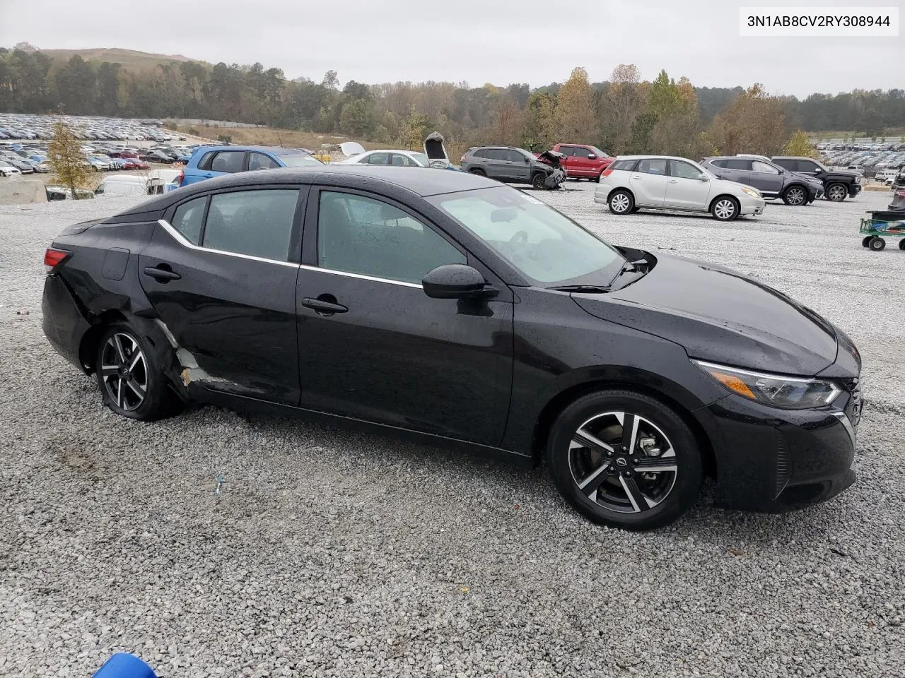 2024 Nissan Sentra Sv VIN: 3N1AB8CV2RY308944 Lot: 79667524