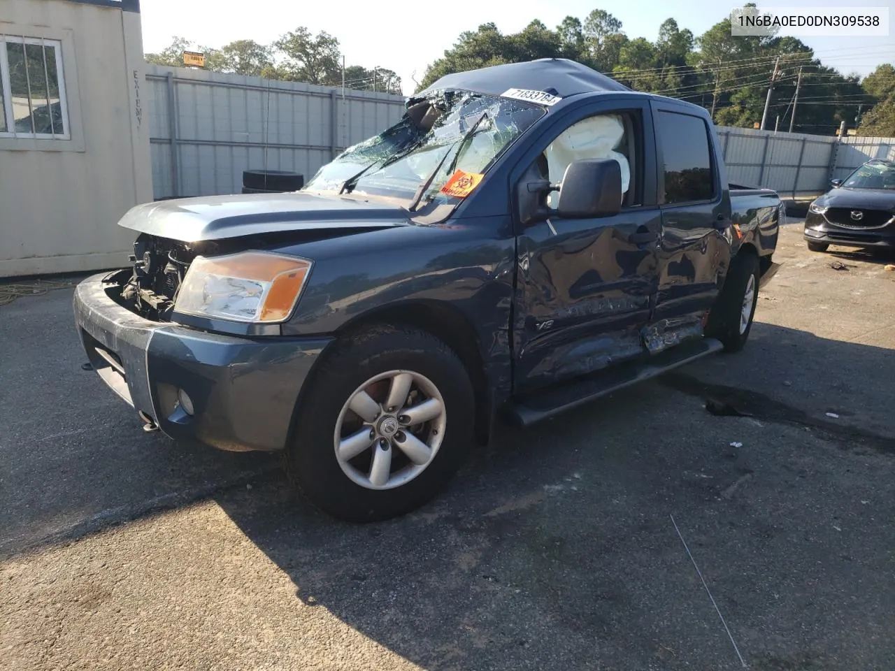 2013 Nissan Titan S VIN: 1N6BA0ED0DN309538 Lot: 71833764