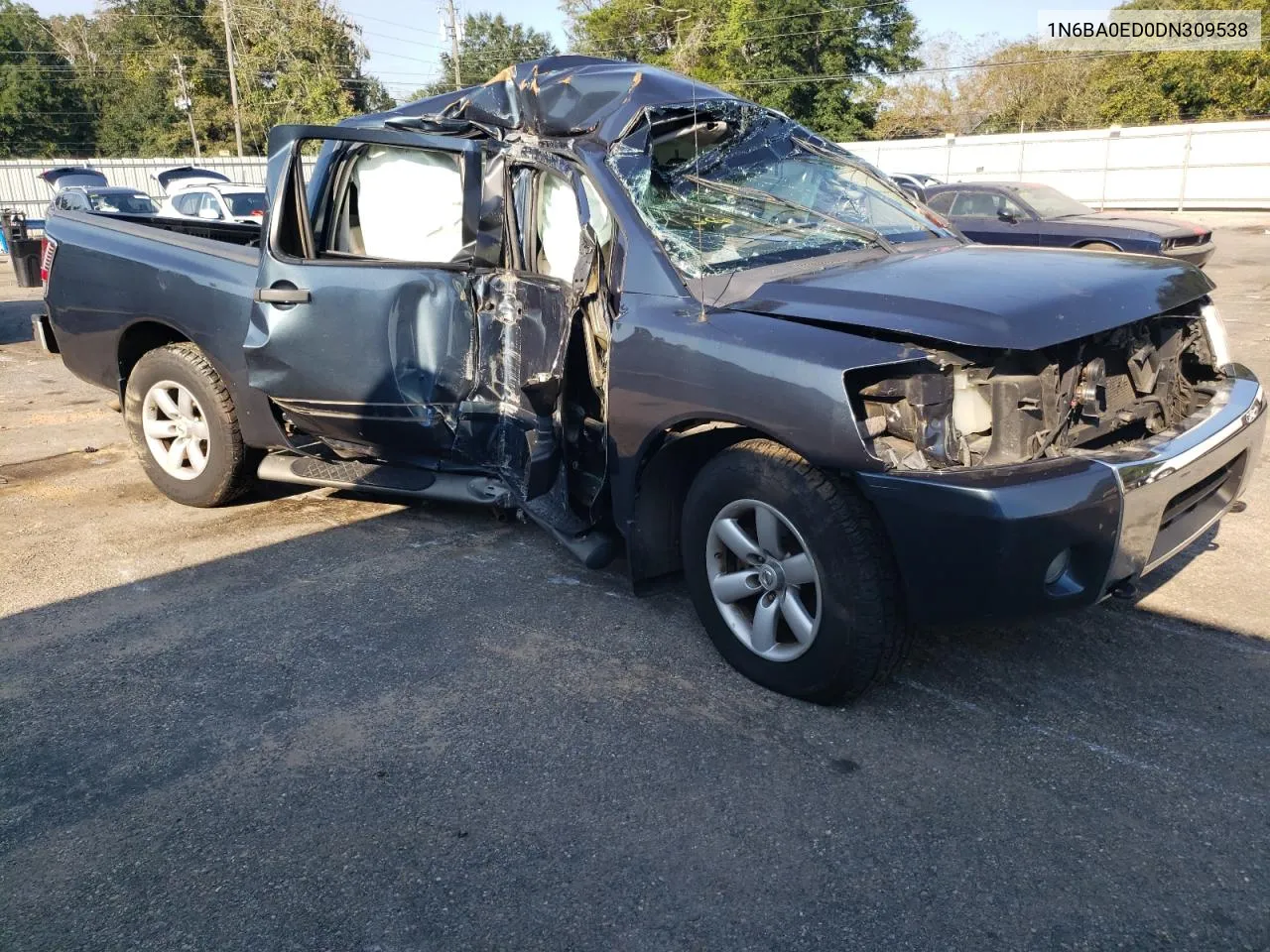 2013 Nissan Titan S VIN: 1N6BA0ED0DN309538 Lot: 71833764