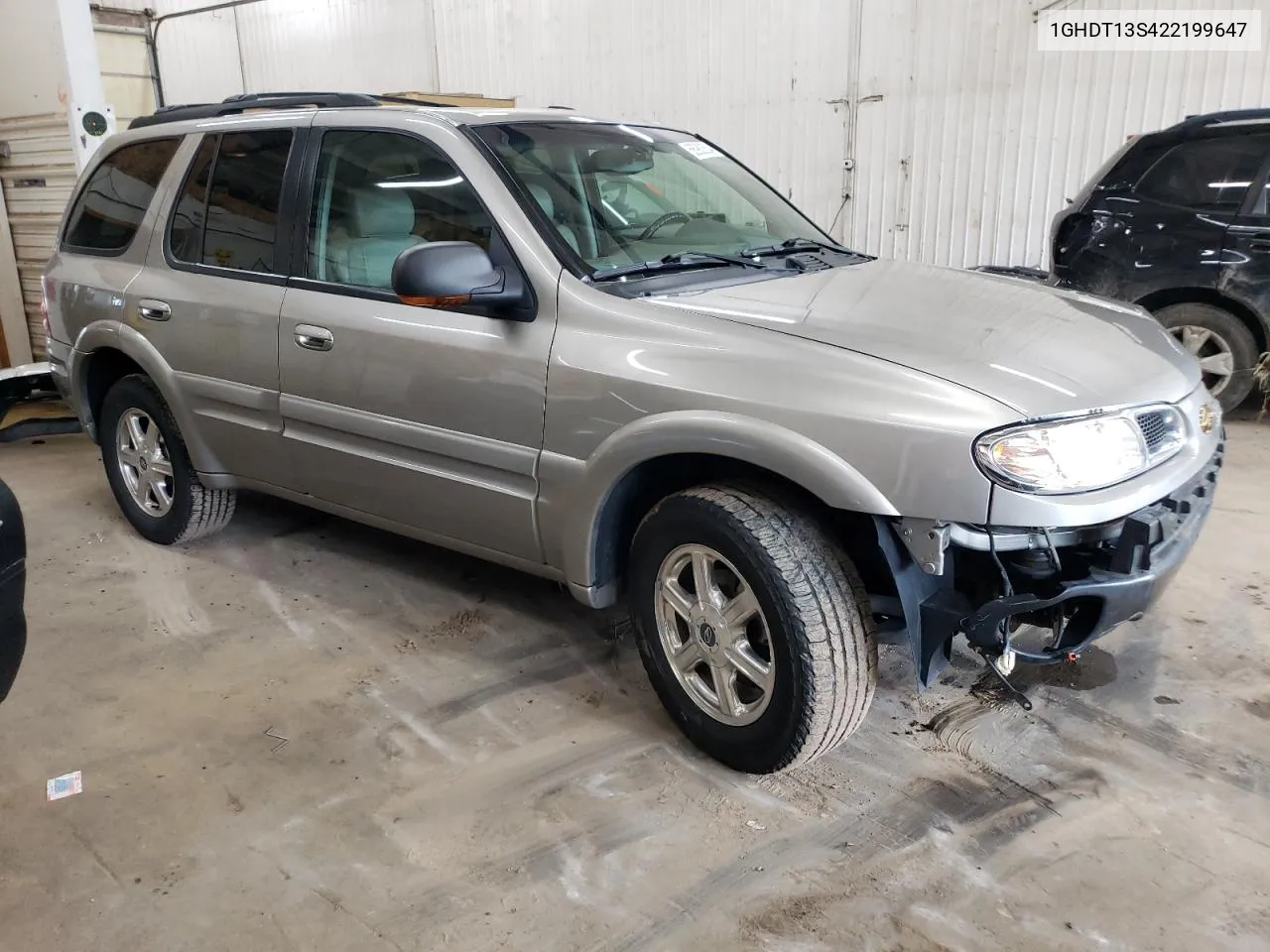 2002 Oldsmobile Bravada VIN: 1GHDT13S422199647 Lot: 68980554