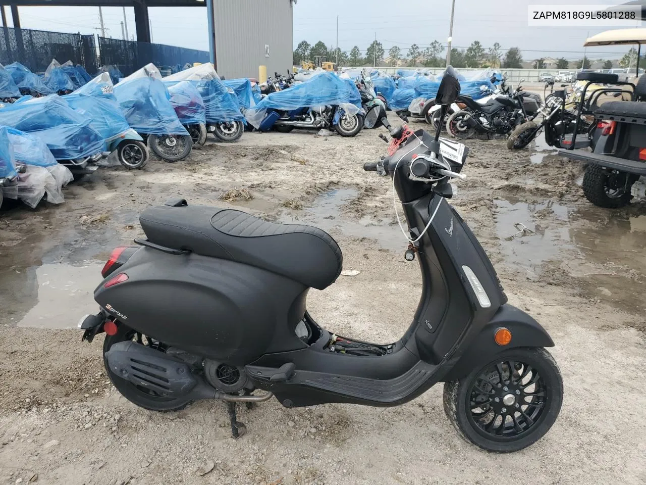 2020 Piaggio Motorcycle VIN: ZAPM818G9L5801288 Lot: 76509924