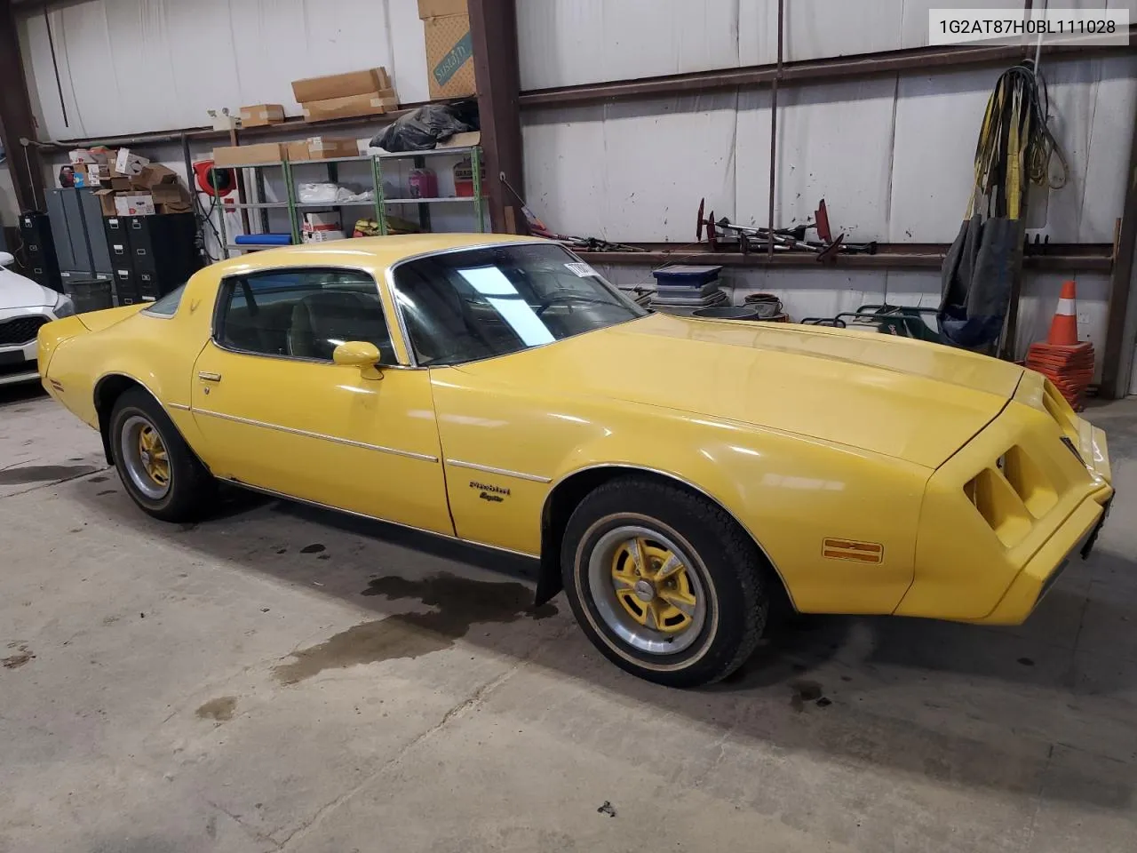 1981 Pontiac Firebird VIN: 1G2AT87H0BL111028 Lot: 77801124