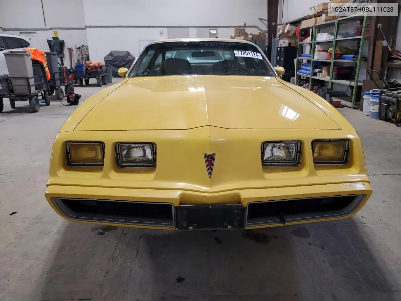 1981 Pontiac Firebird VIN: 1G2AT87H0BL111028 Lot: 77801124