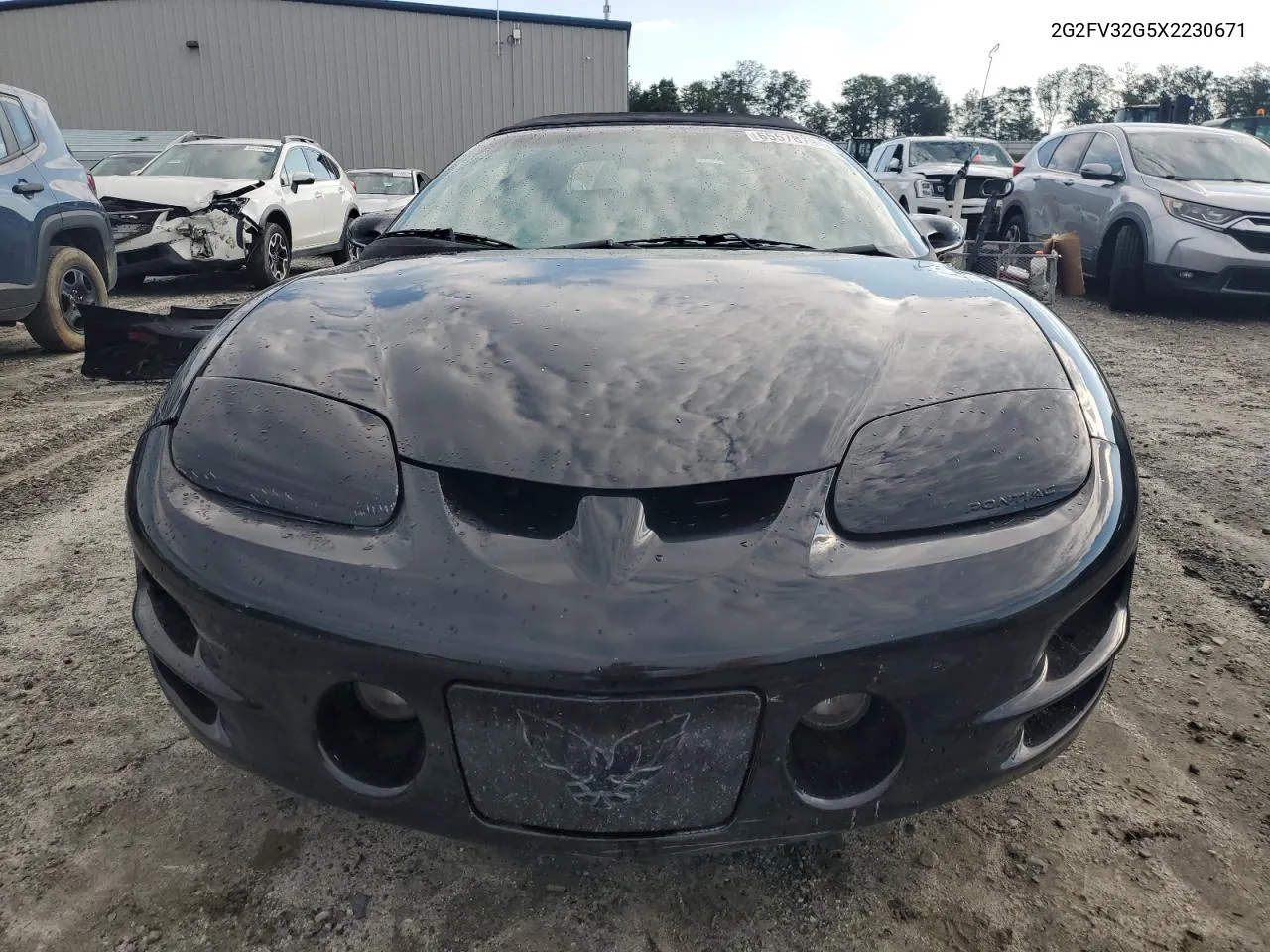 1999 Pontiac Firebird Trans Am VIN: 2G2FV32G5X2230671 Lot: 65578794