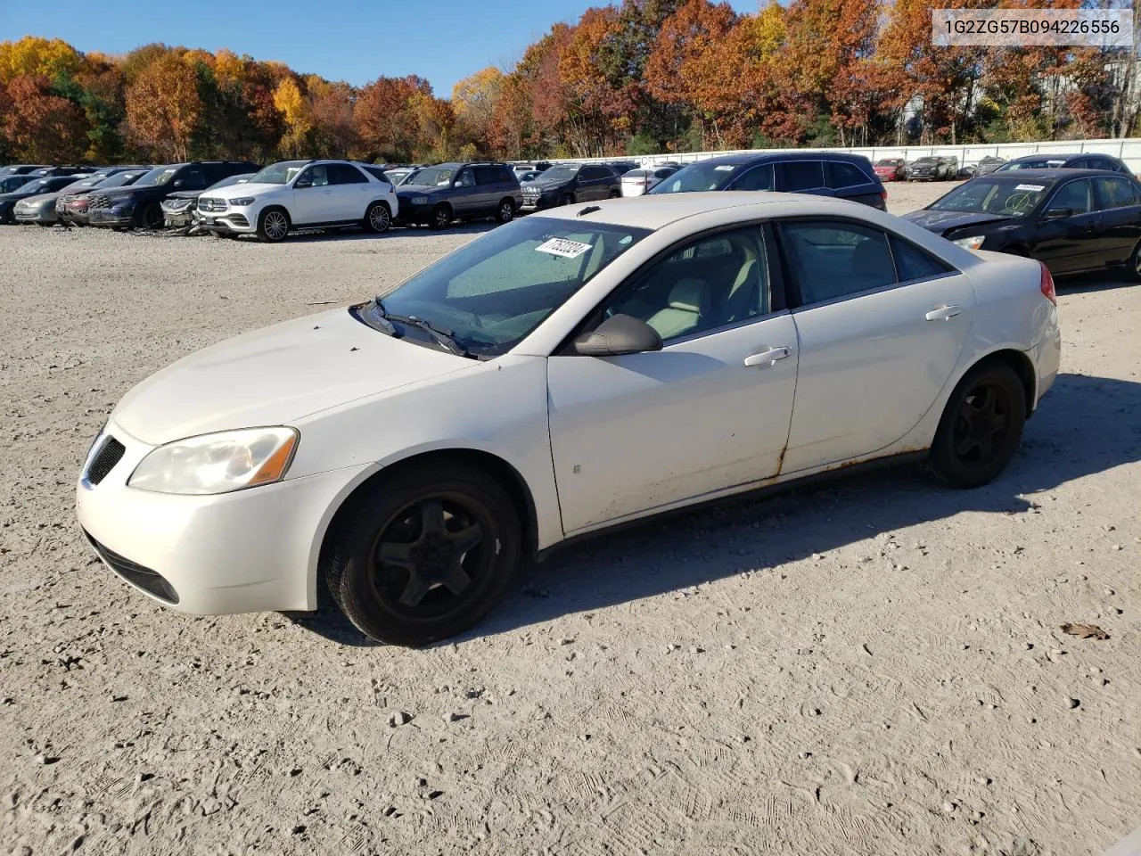 2009 Pontiac G6 VIN: 1G2ZG57B094226556 Lot: 77522324