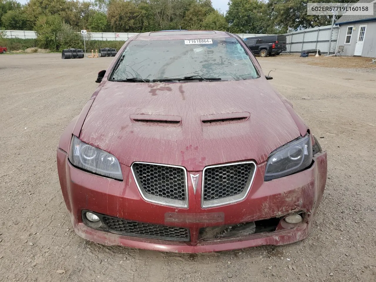 2009 Pontiac G8 VIN: 6G2ER57719L160158 Lot: 71618864