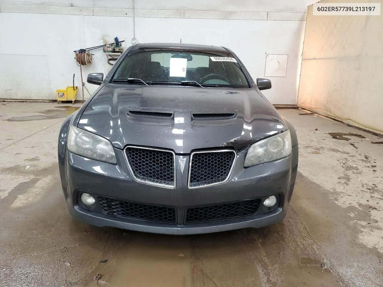 2009 Pontiac G8 VIN: 6G2ER57739L213197 Lot: 80036494