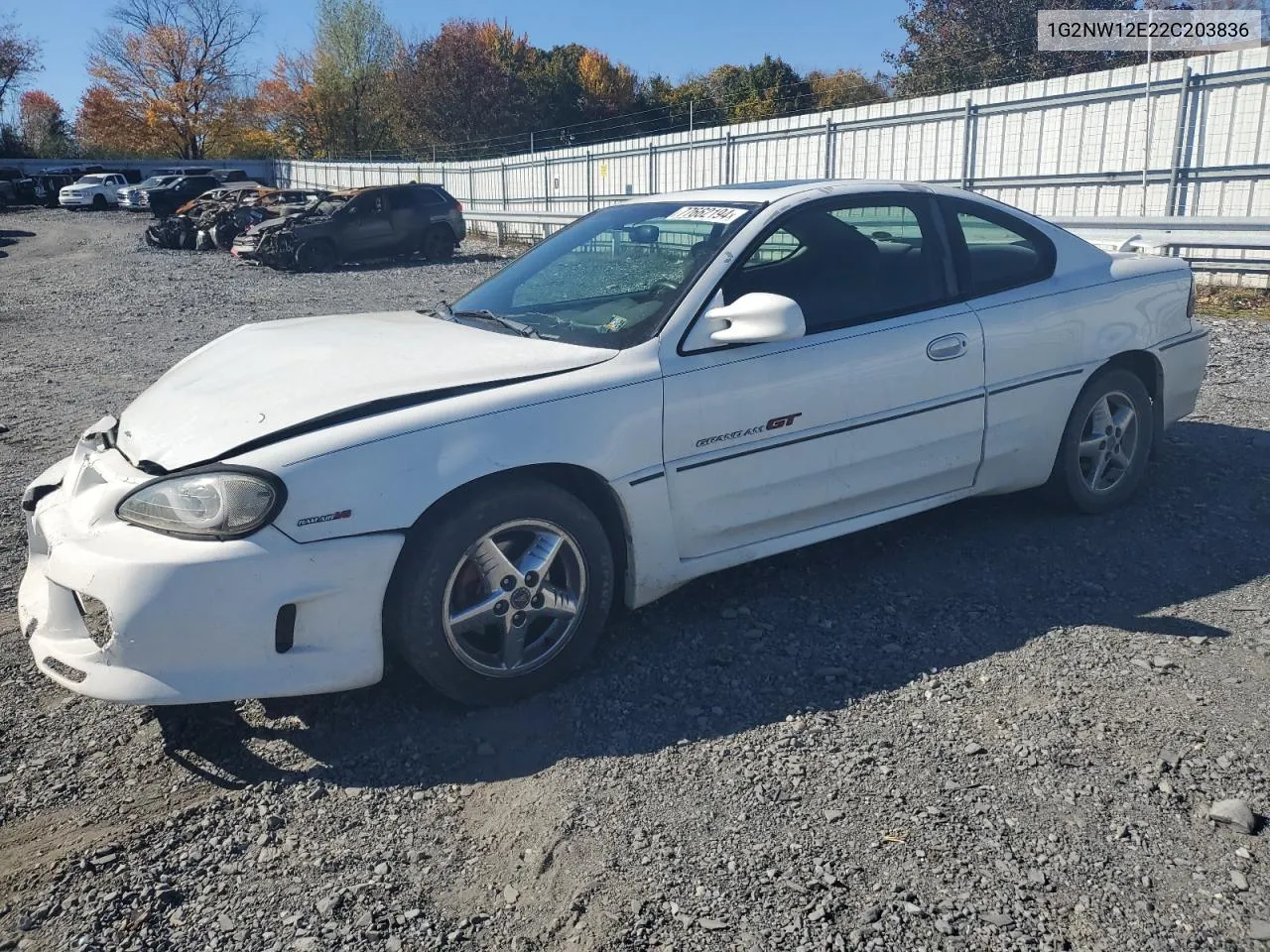 2002 Pontiac Grand Am Gt VIN: 1G2NW12E22C203836 Lot: 77662194