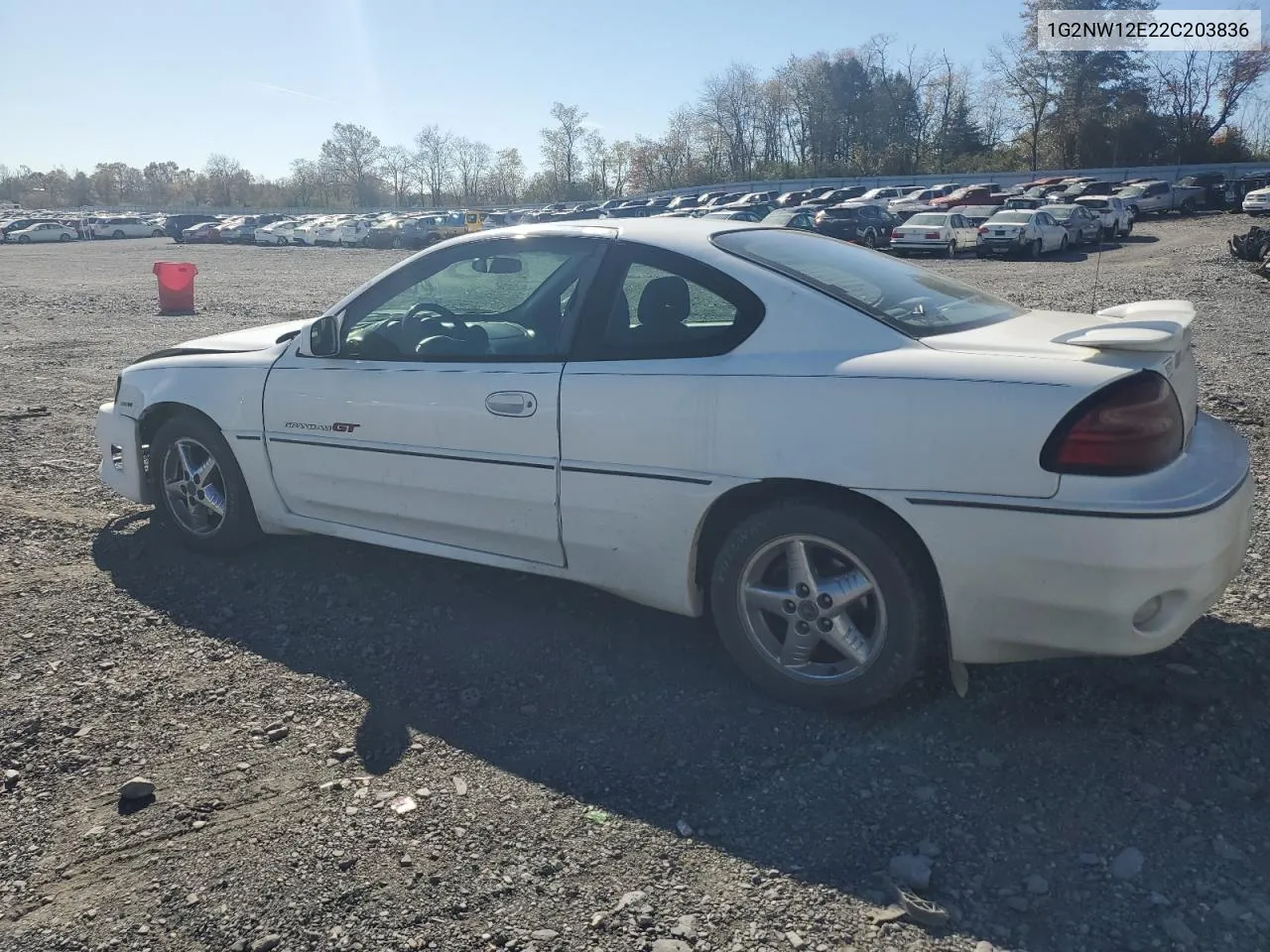 2002 Pontiac Grand Am Gt VIN: 1G2NW12E22C203836 Lot: 77662194