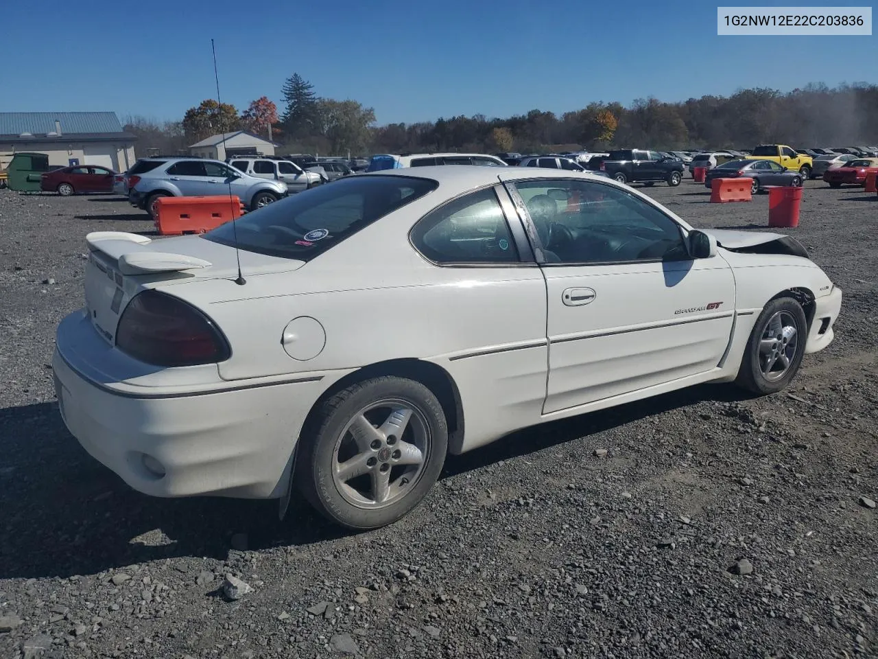 2002 Pontiac Grand Am Gt VIN: 1G2NW12E22C203836 Lot: 77662194