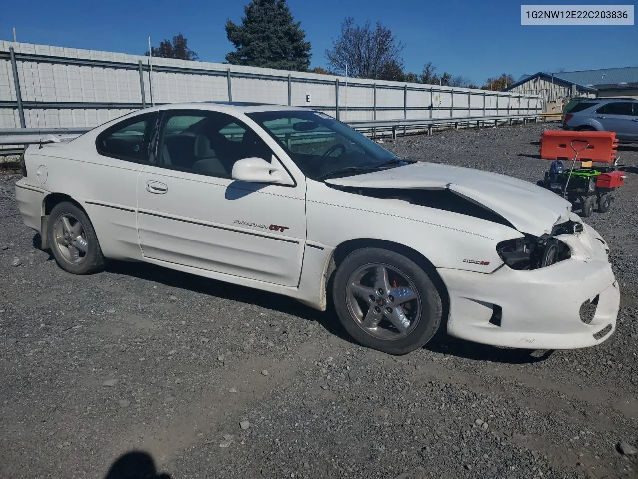 2002 Pontiac Grand Am Gt VIN: 1G2NW12E22C203836 Lot: 77662194