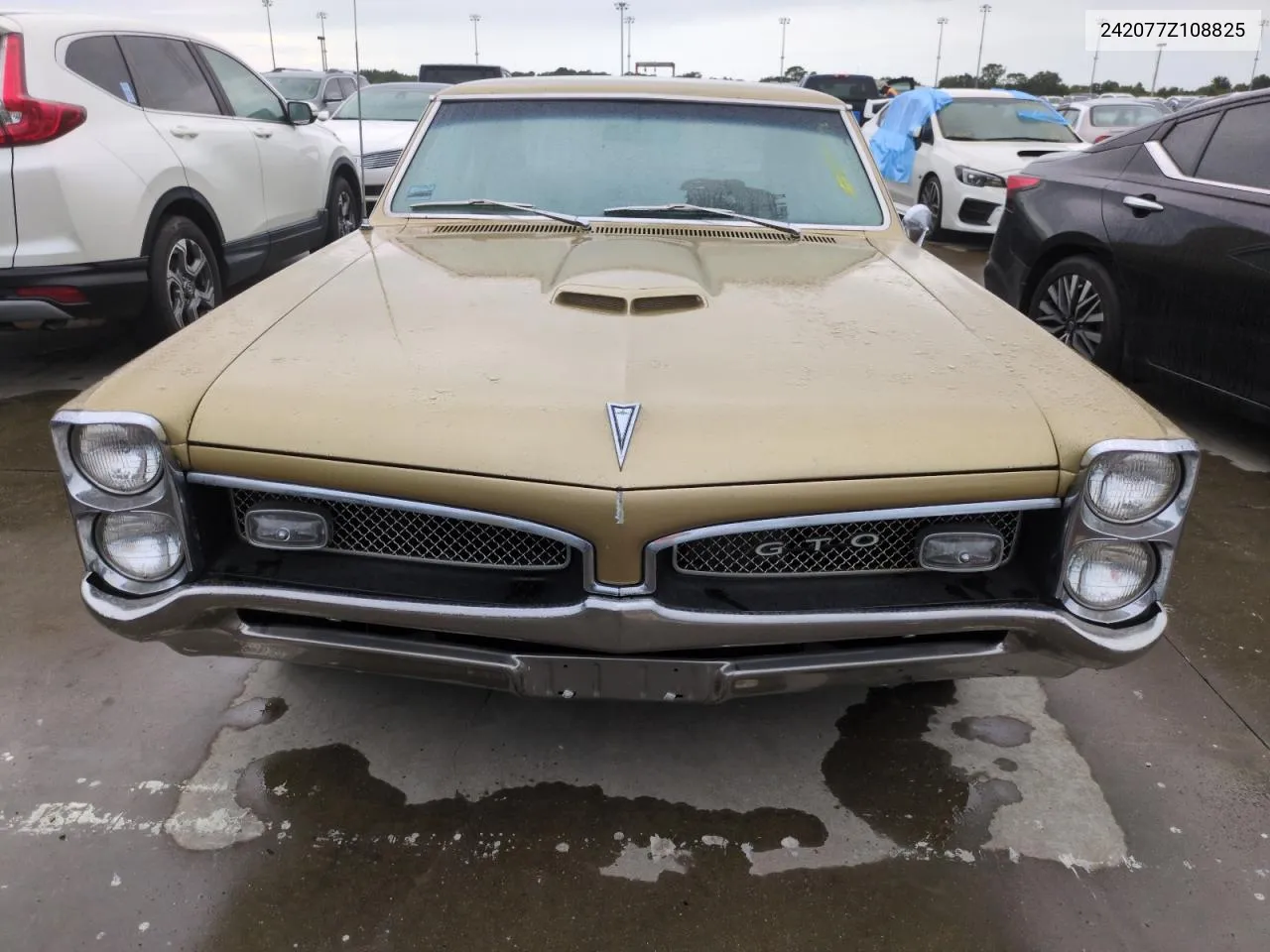 1967 Pontiac Gto VIN: 242077Z108825 Lot: 74747314