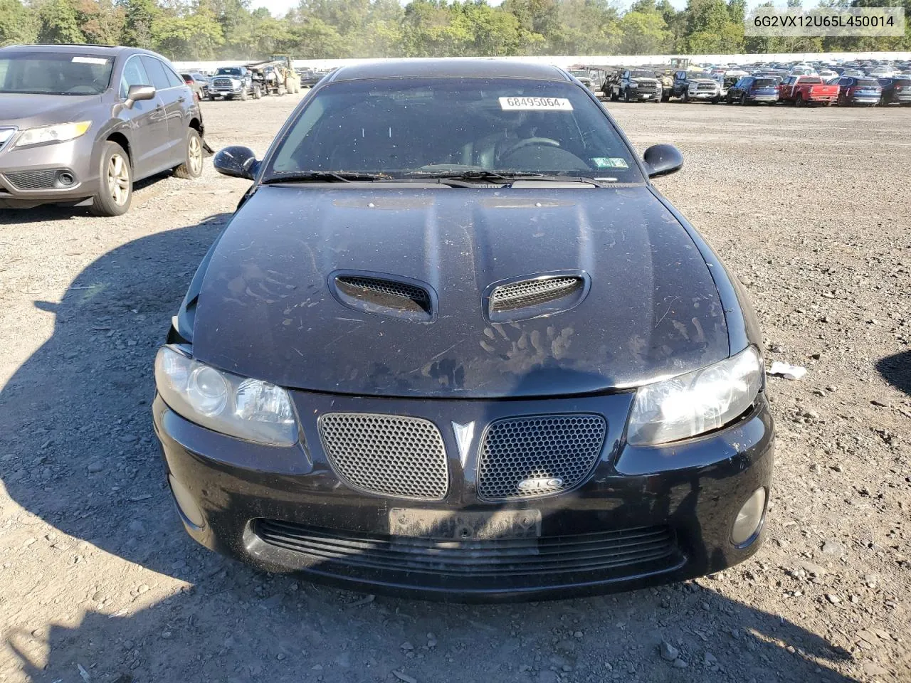 2005 Pontiac Gto VIN: 6G2VX12U65L450014 Lot: 68495064