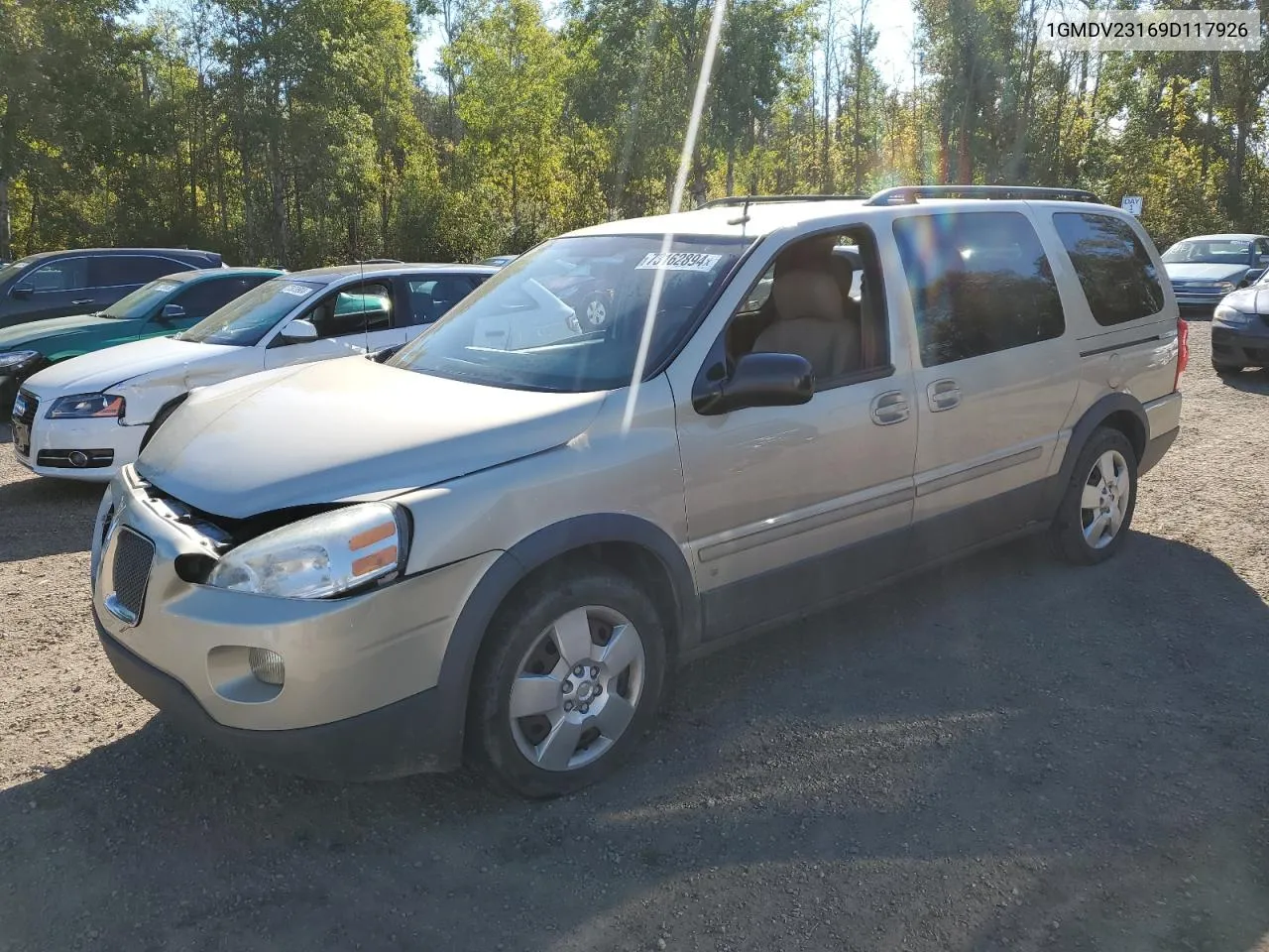 2009 Pontiac Montana Sv6 VIN: 1GMDV23169D117926 Lot: 73162894