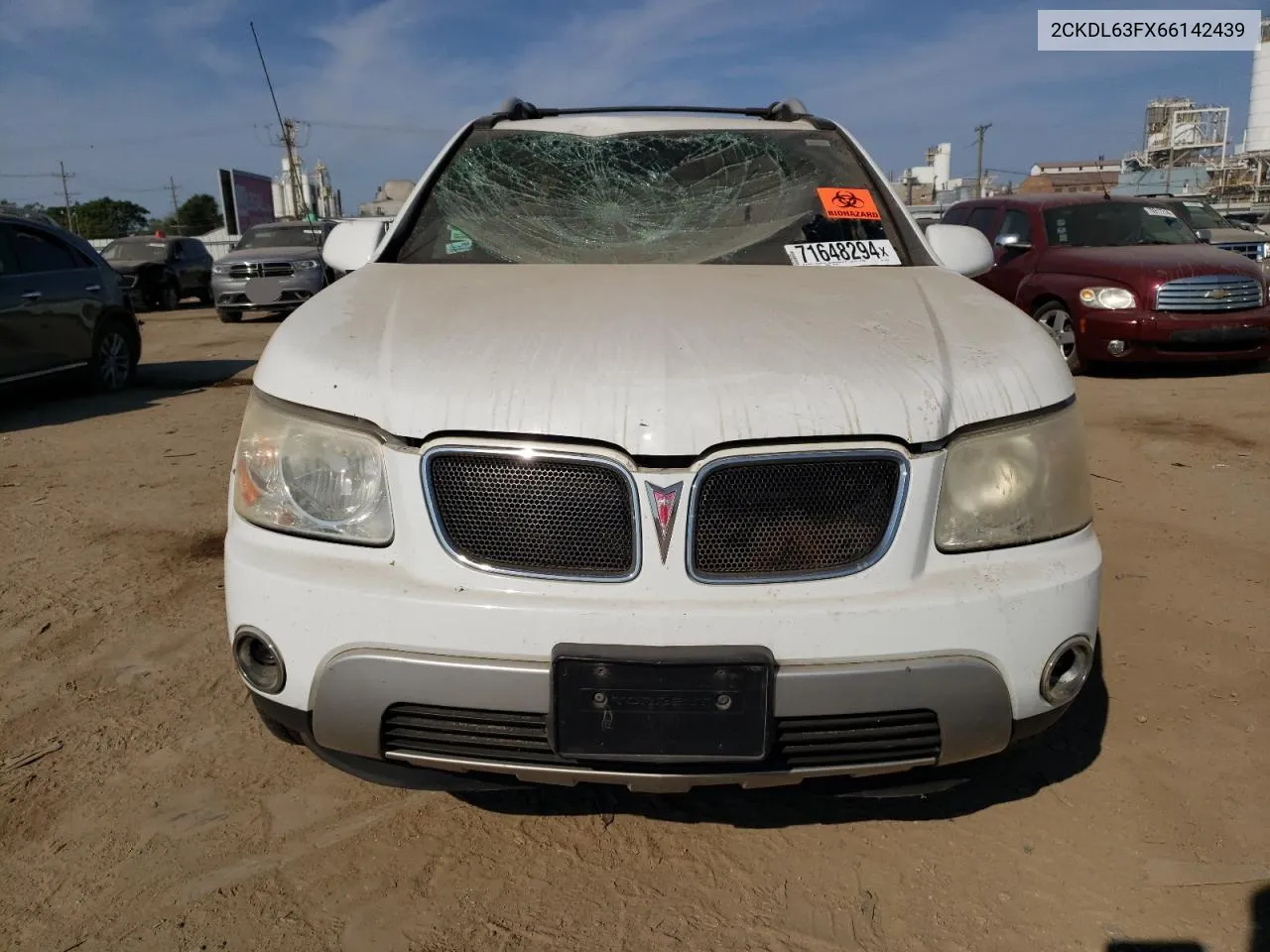 2006 Pontiac Torrent VIN: 2CKDL63FX66142439 Lot: 71648294