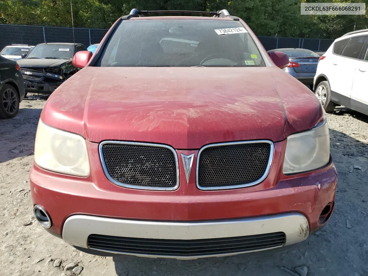 2006 Pontiac Torrent VIN: 2CKDL63F666068291 Lot: 73842124