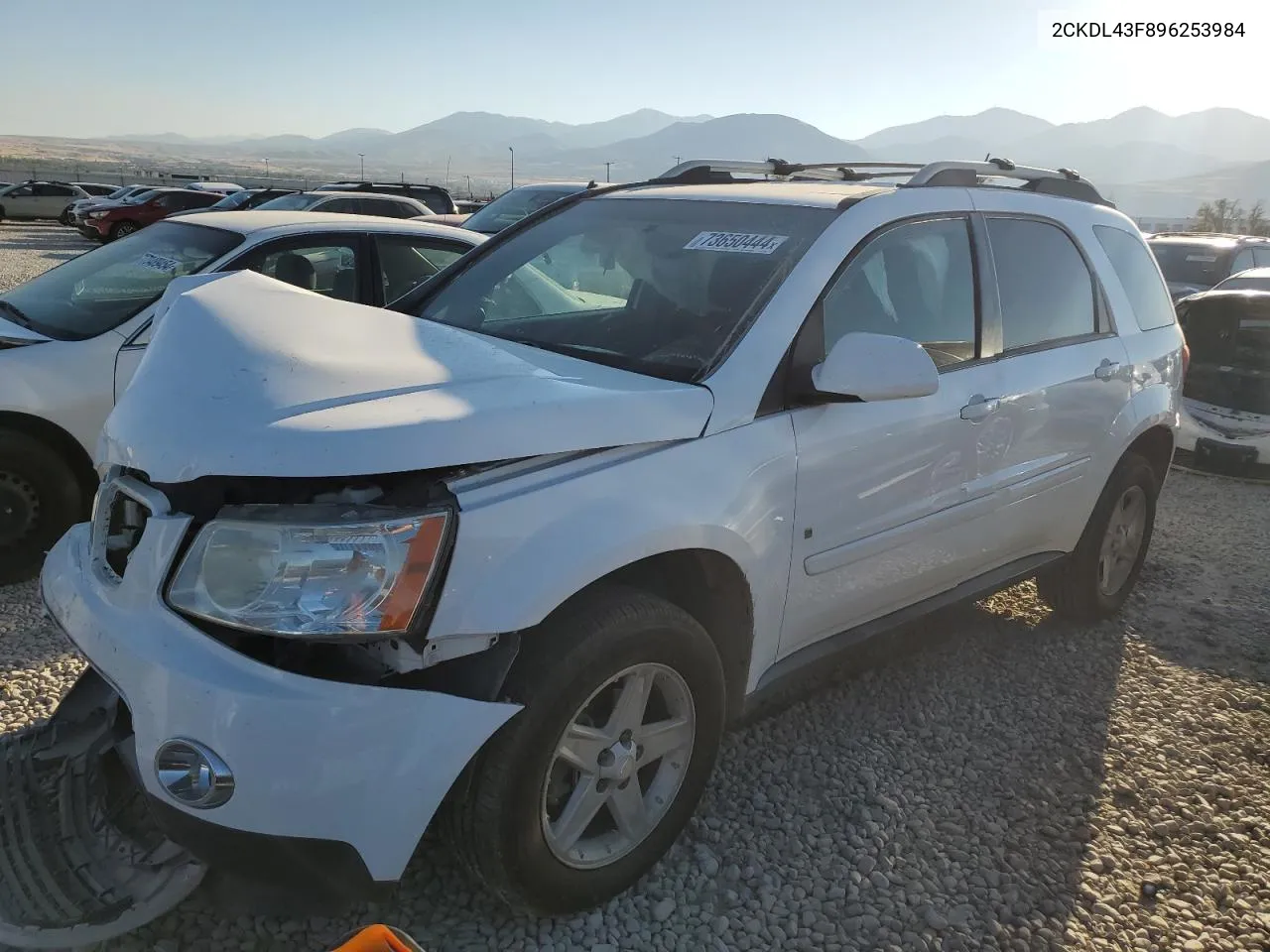 2009 Pontiac Torrent VIN: 2CKDL43F896253984 Lot: 73650444