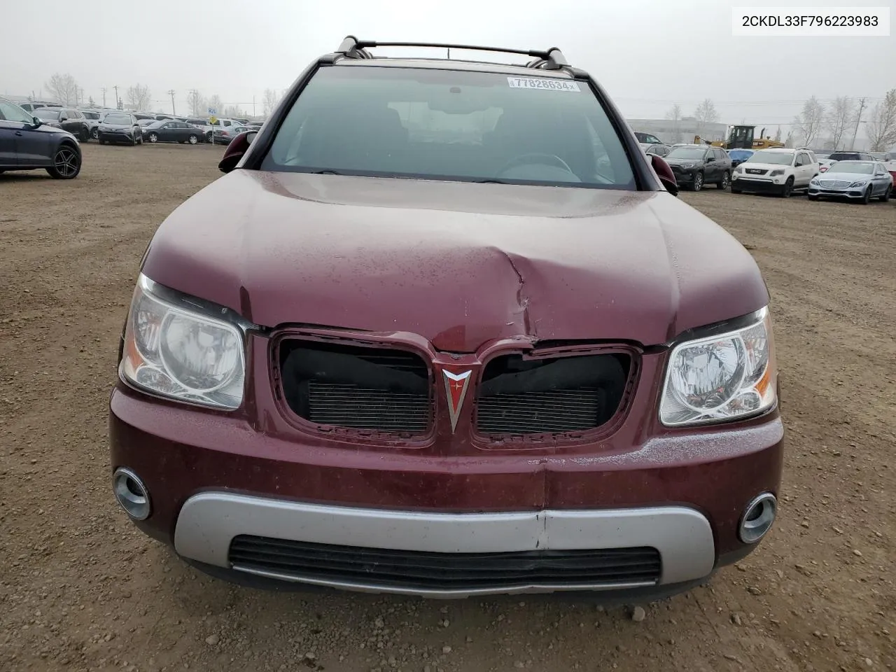 2009 Pontiac Torrent VIN: 2CKDL33F796223983 Lot: 77828634