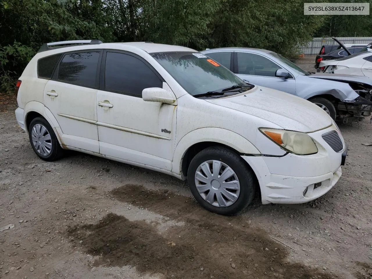 2005 Pontiac Vibe VIN: 5Y2SL638X5Z413647 Lot: 67174644