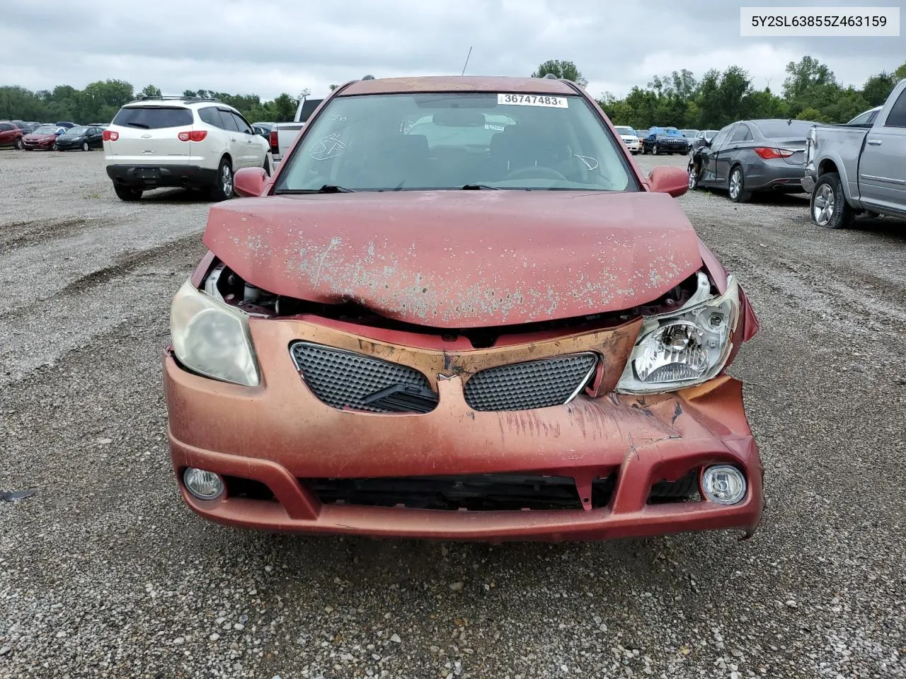 2005 Pontiac Vibe VIN: 5Y2SL63855Z463159 Lot: 71489253