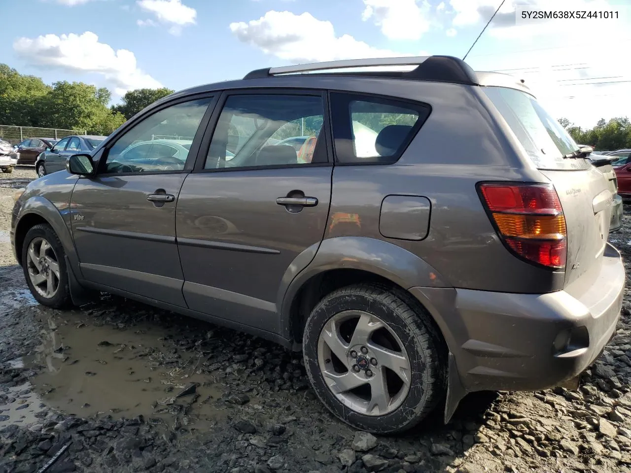 2005 Pontiac Vibe VIN: 5Y2SM638X5Z441011 Lot: 73820424