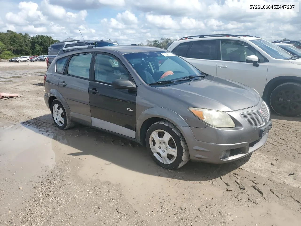 2005 Pontiac Vibe VIN: 5Y2SL66845Z447207 Lot: 74093194