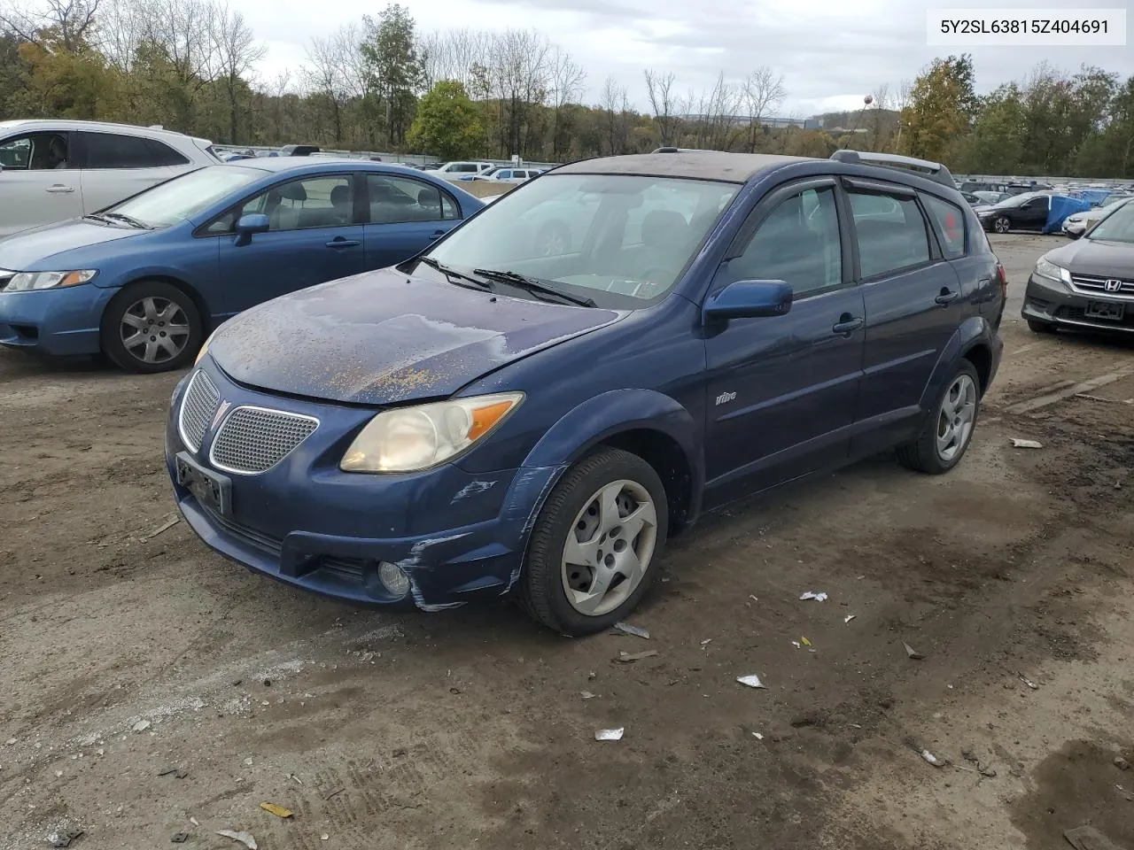 2005 Pontiac Vibe VIN: 5Y2SL63815Z404691 Lot: 75611554