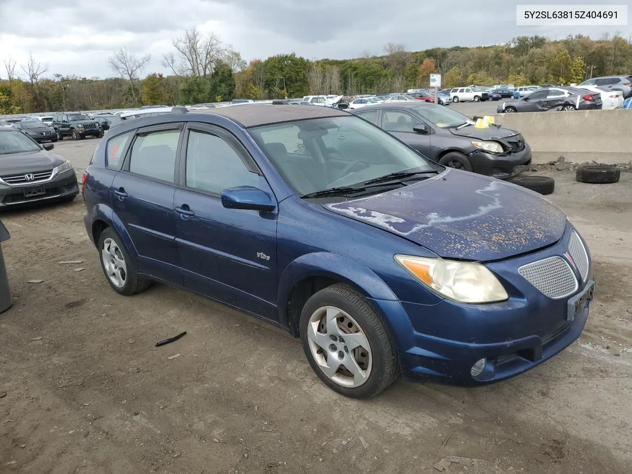 2005 Pontiac Vibe VIN: 5Y2SL63815Z404691 Lot: 75611554