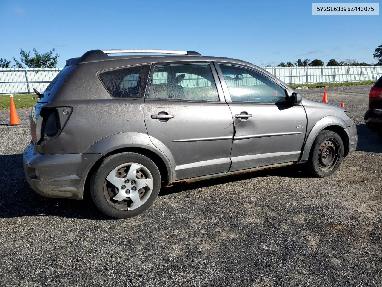 2005 Pontiac Vibe VIN: 5Y2SL63895Z443075 Lot: 76461794