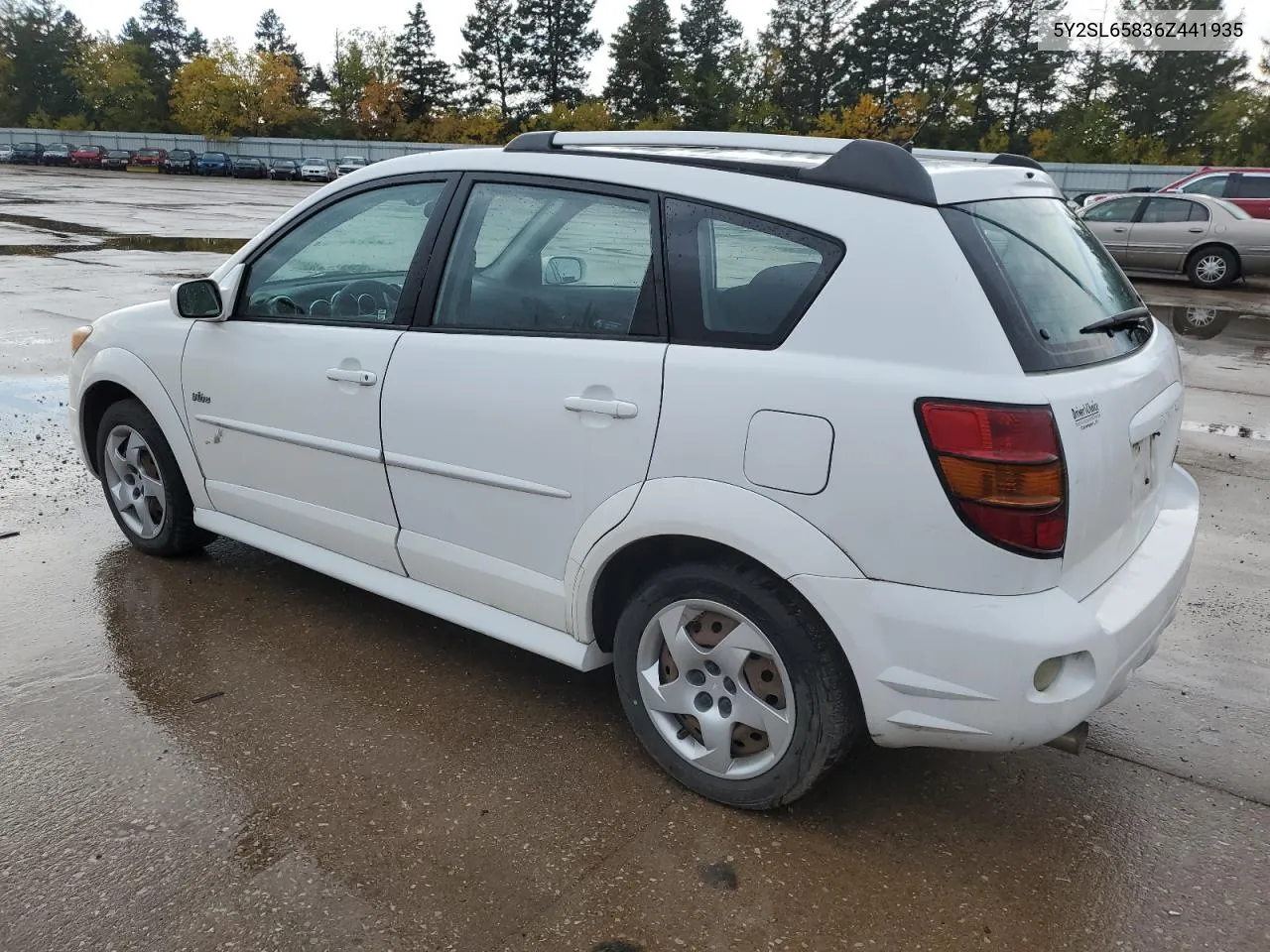 2006 Pontiac Vibe VIN: 5Y2SL65836Z441935 Lot: 76949174