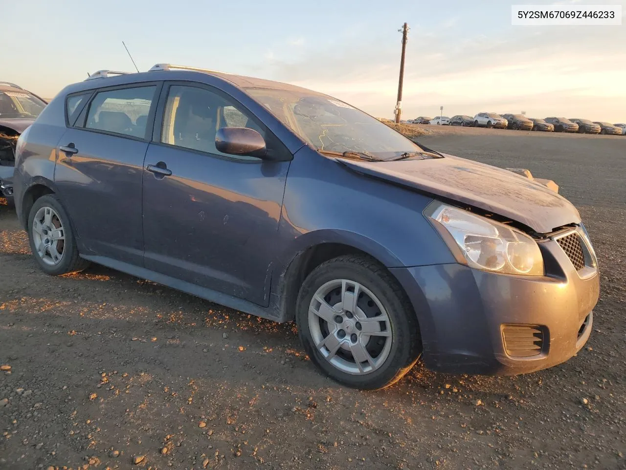 2009 Pontiac Vibe VIN: 5Y2SM67069Z446233 Lot: 76932424