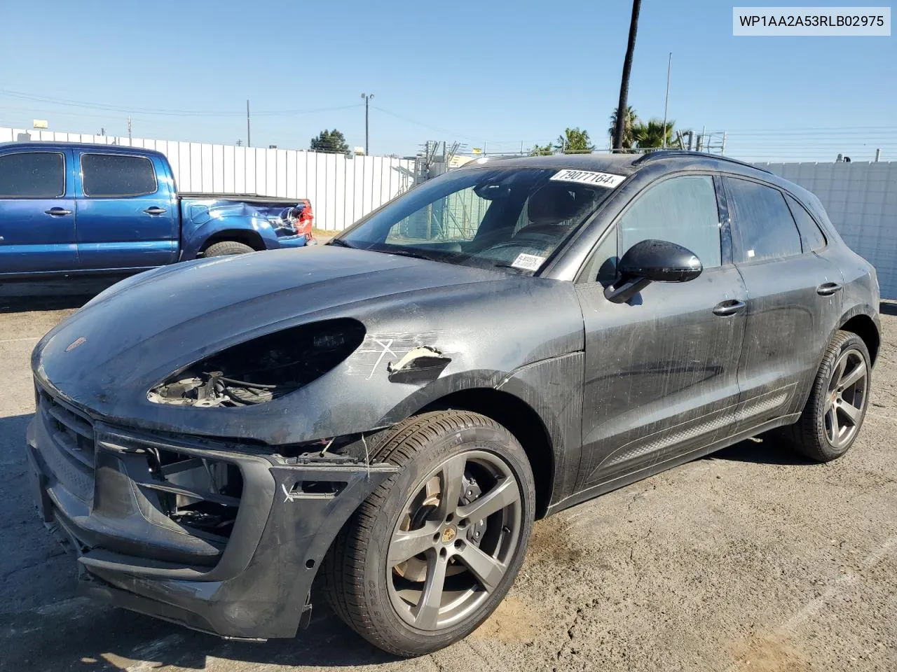 2024 Porsche Macan Base VIN: WP1AA2A53RLB02975 Lot: 79077164