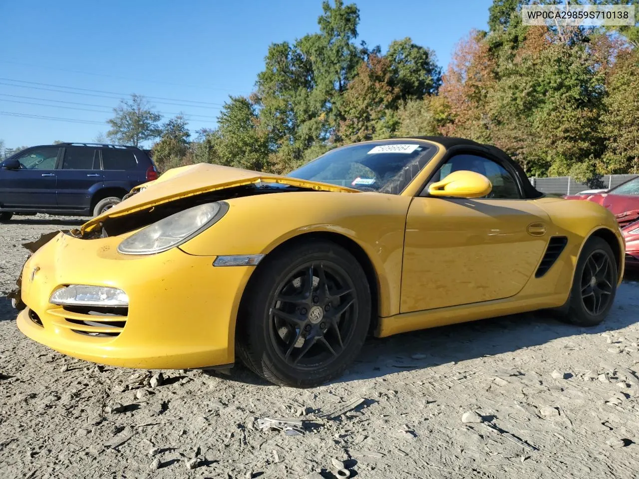 2009 Porsche Boxster VIN: WP0CA29859S710138 Lot: 75096664