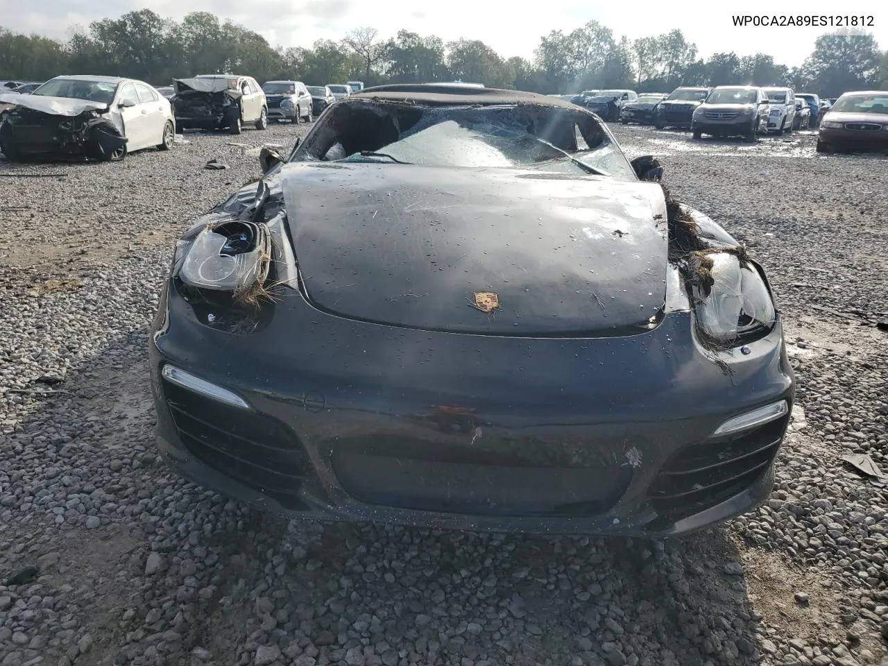 2014 Porsche Boxster VIN: WP0CA2A89ES121812 Lot: 73873054