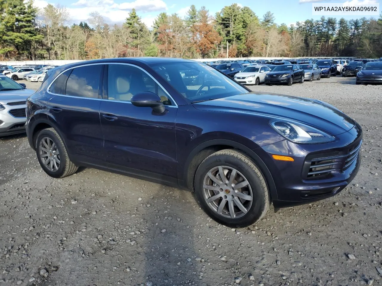 2019 Porsche Cayenne VIN: WP1AA2AY5KDA09692 Lot: 80480424