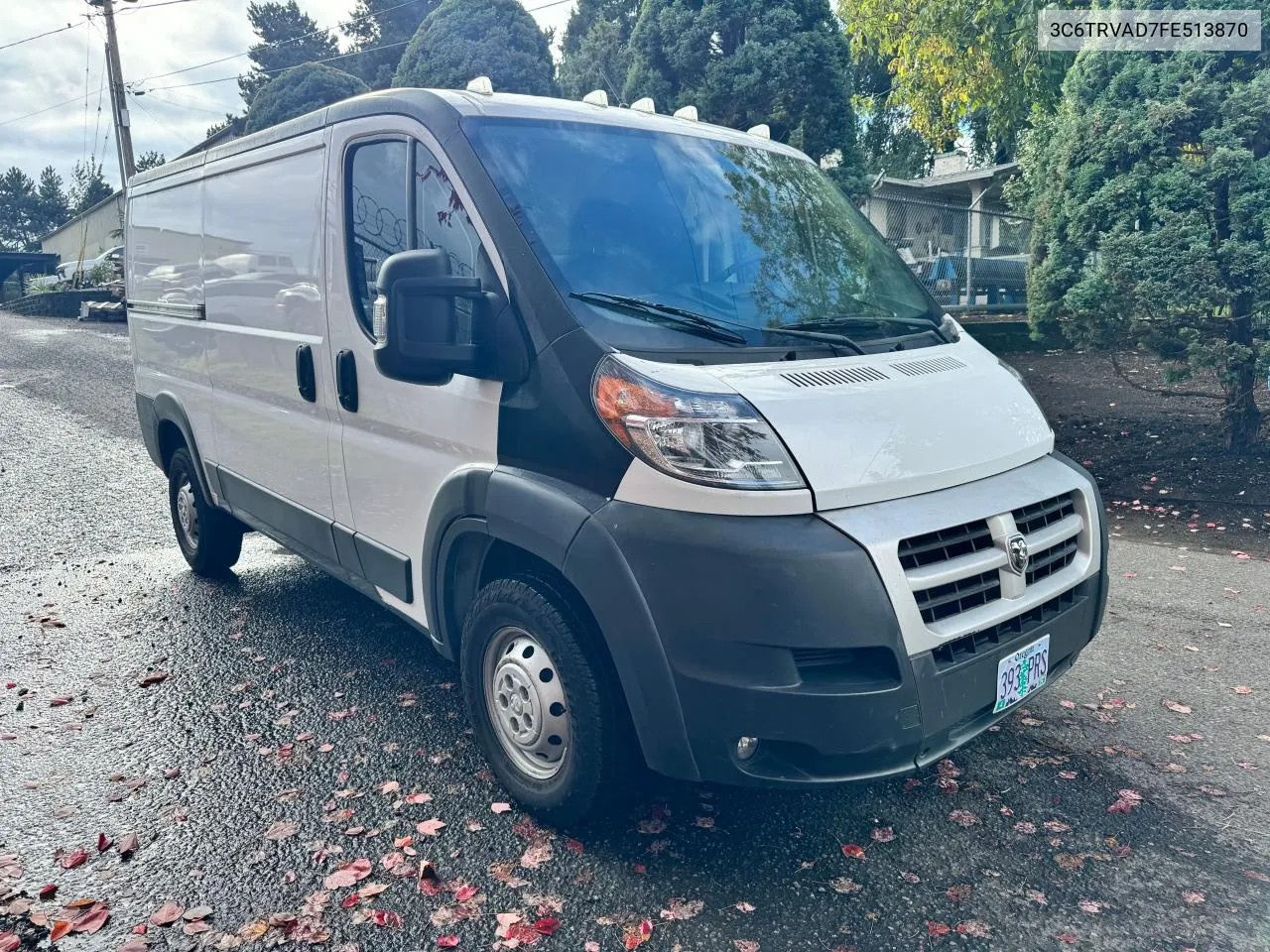 2015 Ram Promaster VIN: 3C6TRVAD7FE513870 Lot: 79320374