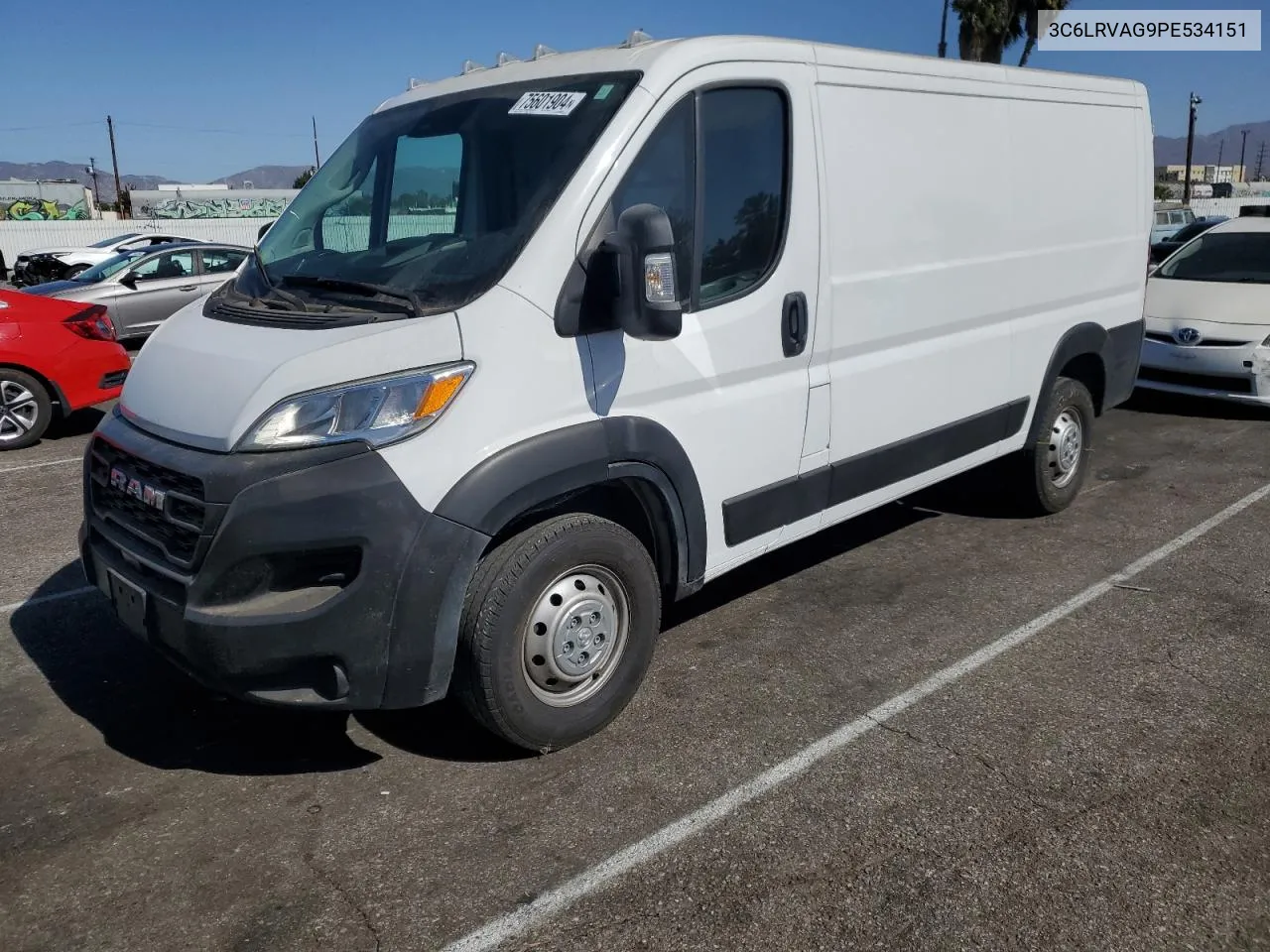 2023 Ram Promaster 1500 1500 Standard VIN: 3C6LRVAG9PE534151 Lot: 75601904