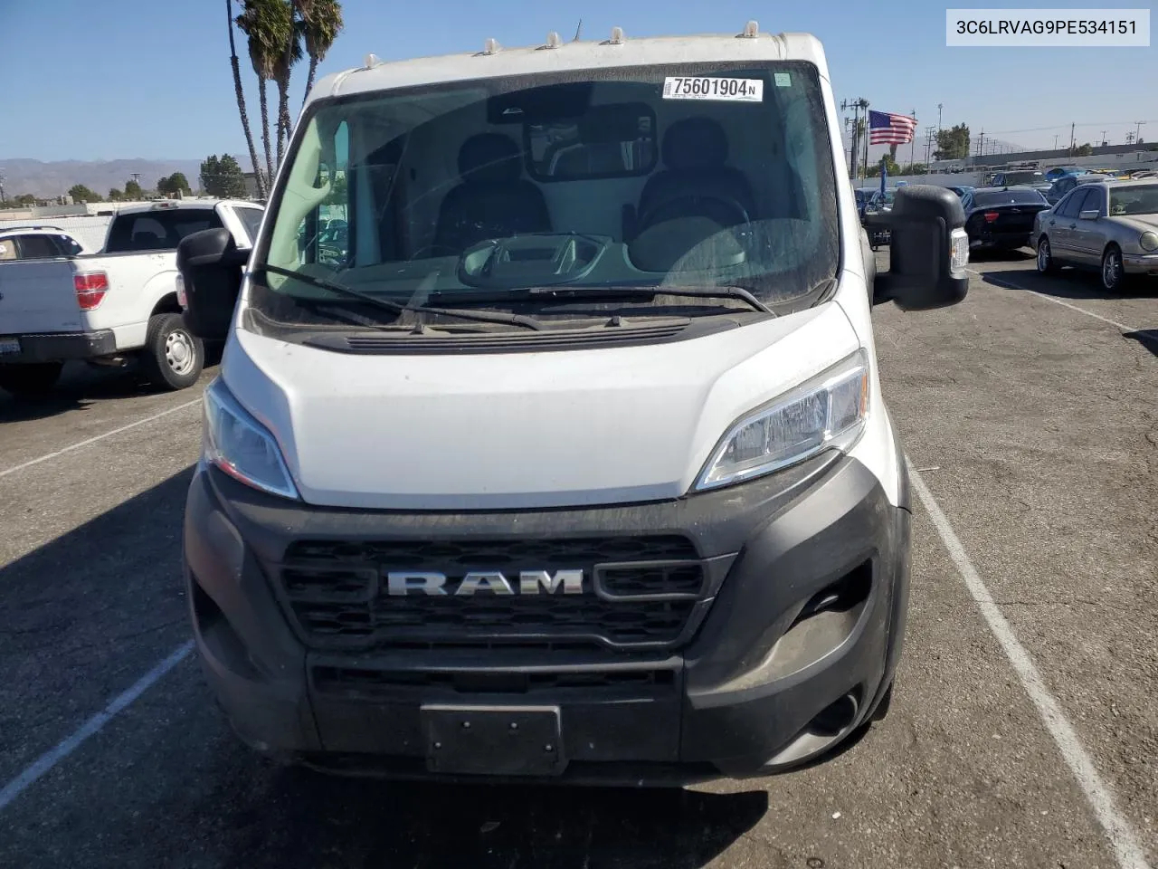 2023 Ram Promaster 1500 1500 Standard VIN: 3C6LRVAG9PE534151 Lot: 75601904